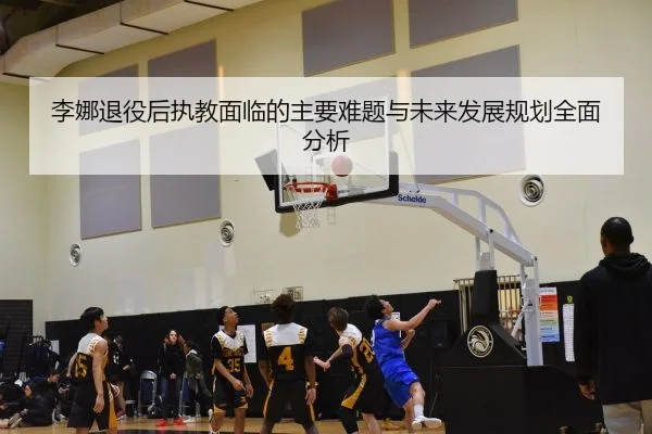 李娜退役后执教面临的主要难题与未来发展规划全面分析
